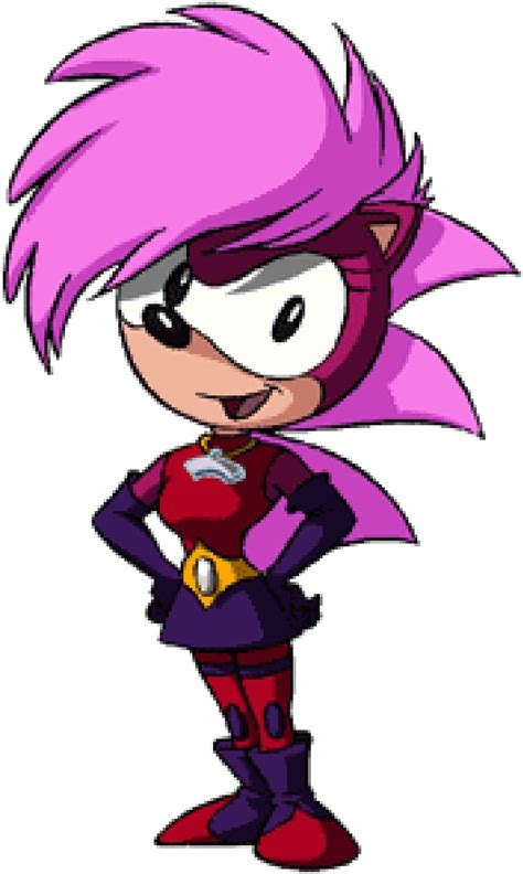 sonia the hedgehog|sonia the hedgehog game.